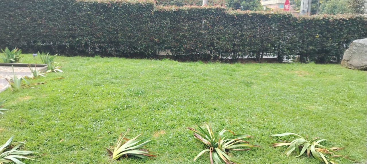 Apartamento de 3 alcobas en venta en Sosiego, Bogotá, 60 m² · foto 24 de 24