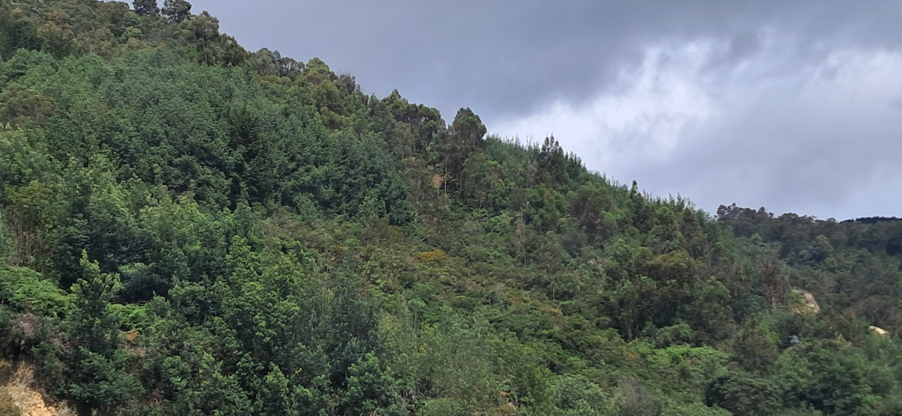 Apartamento de 1 alcoba en venta en San Cristobal Norte, Bogotá, 31 m² · foto 11 de 12