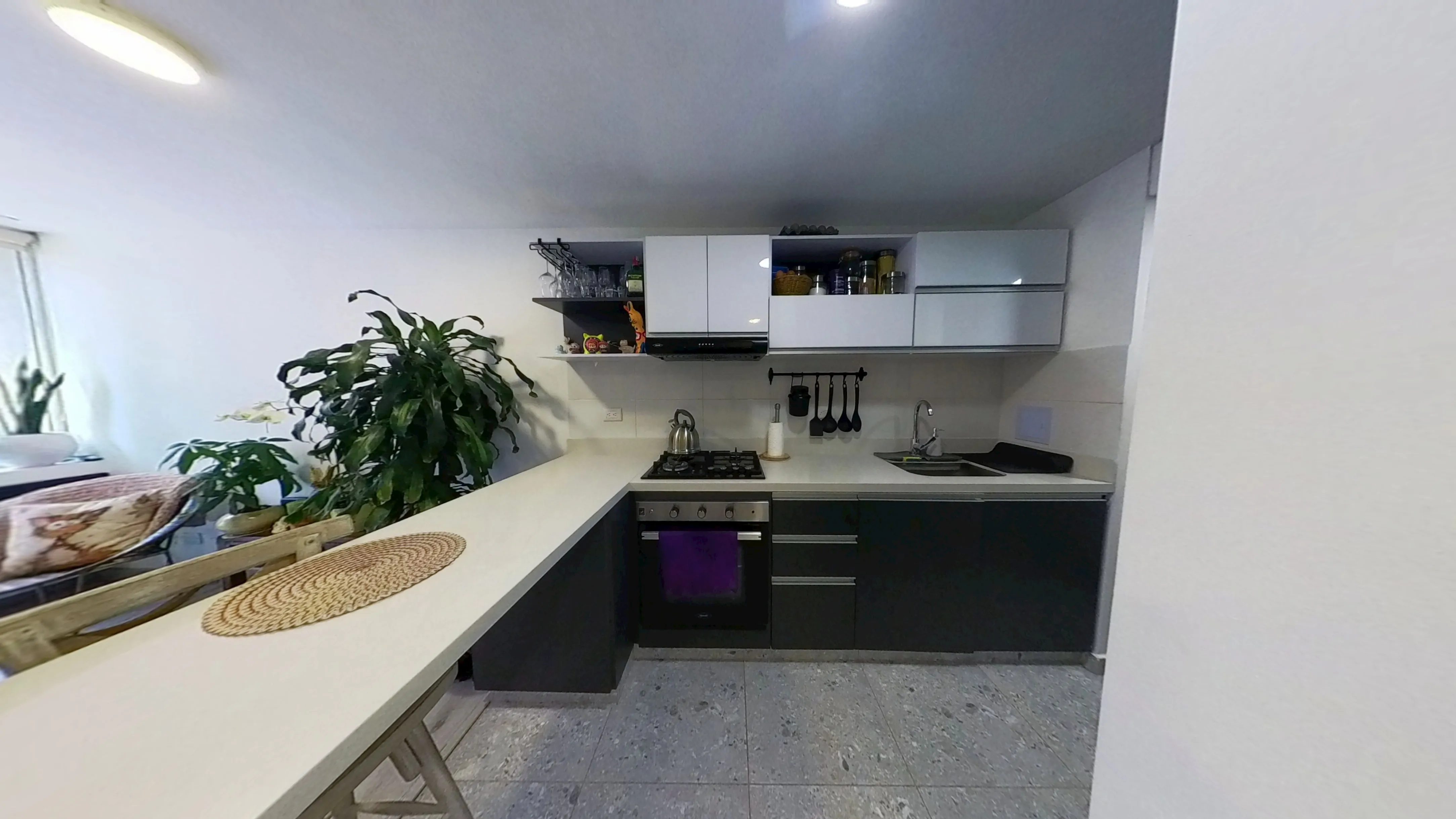 Apartamento en Santa Teresa foto 2