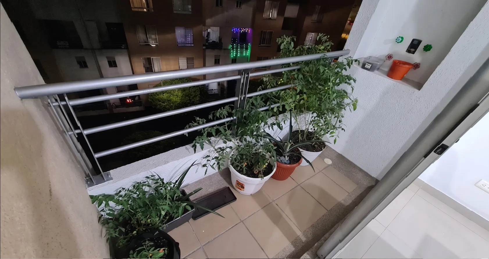 Apartamento en Palmira Urbano foto 5