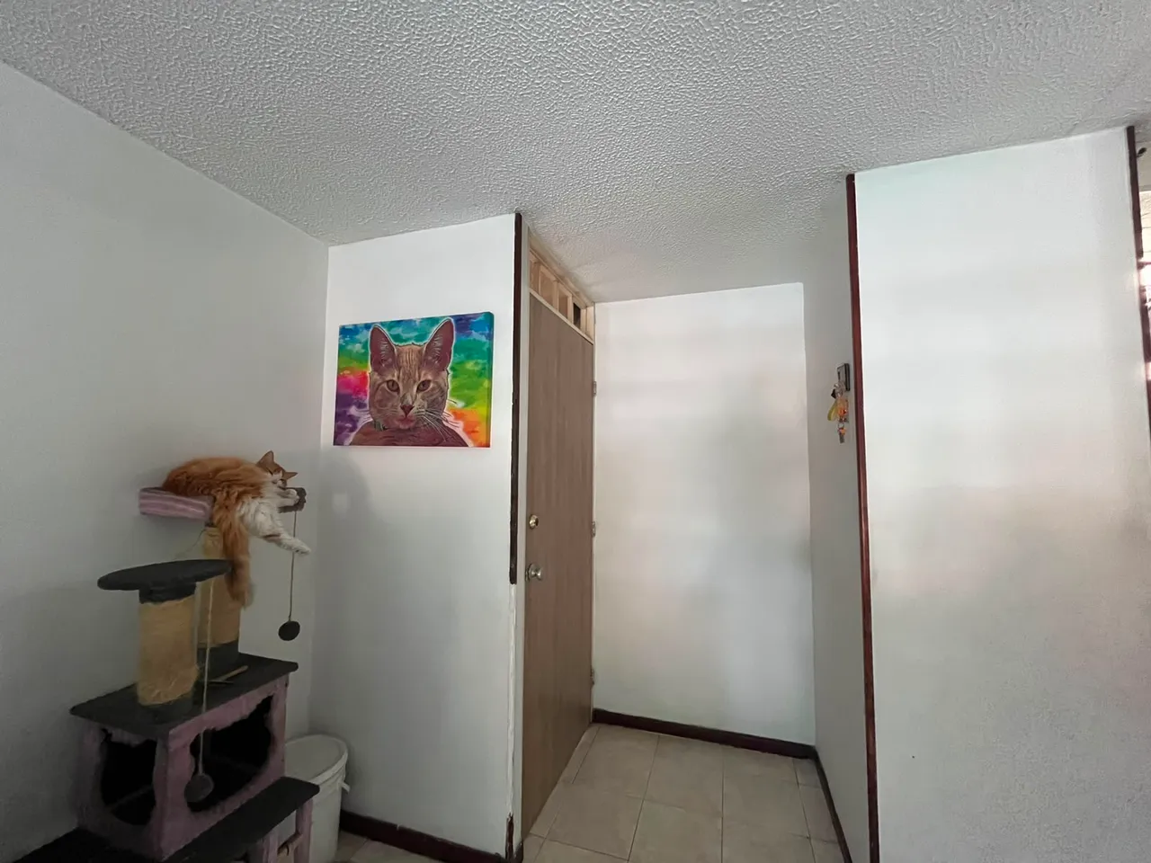 Apartamento en Valle de Lili en Valle de Lili, Cali